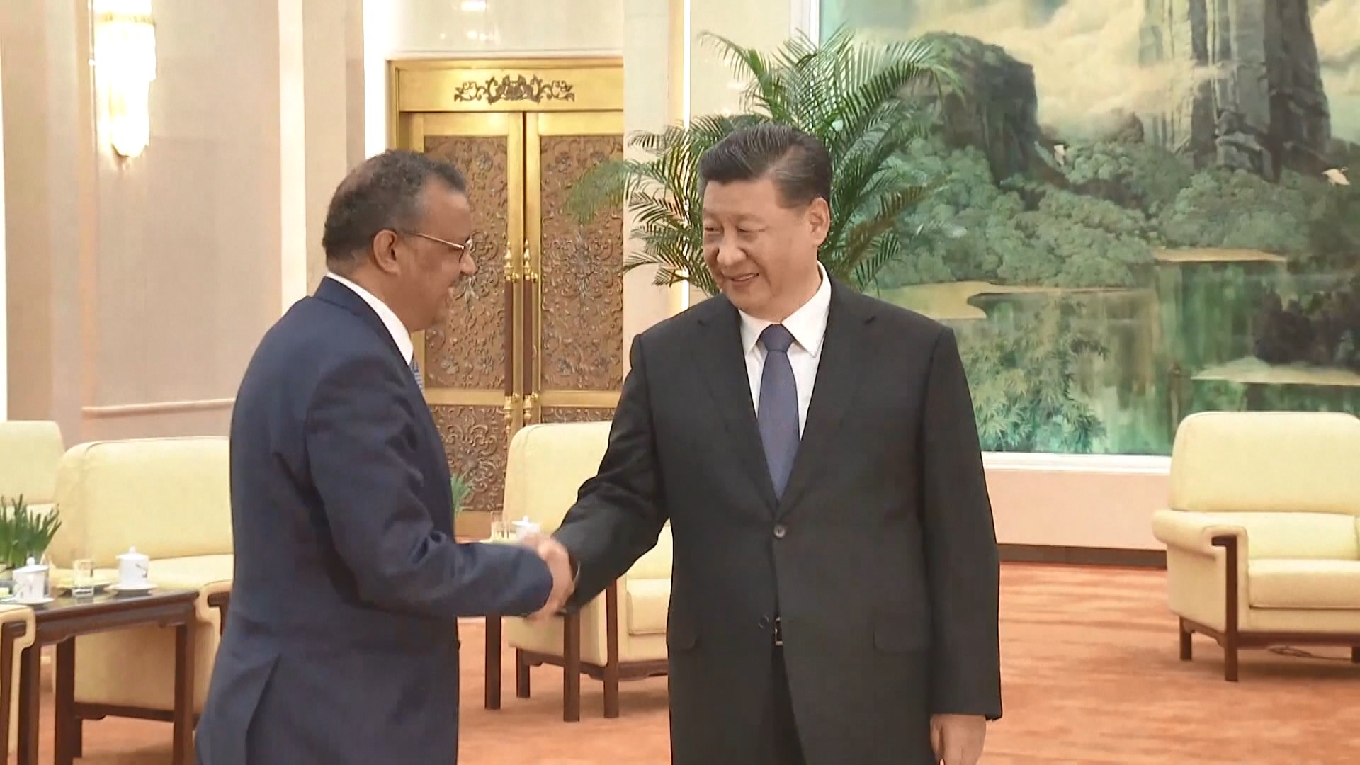 習近平與世衛總幹事會晤商疫情防控問題