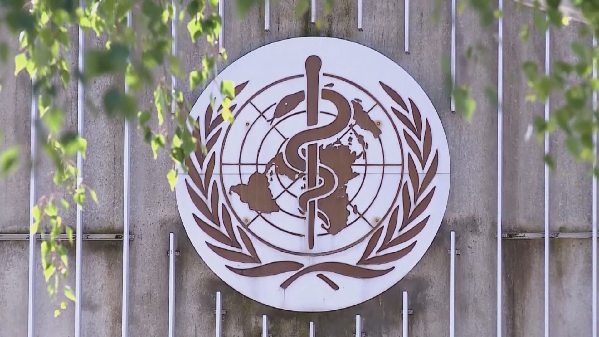 世衛總幹事譚德塞：應及時採取行動遏制疫情