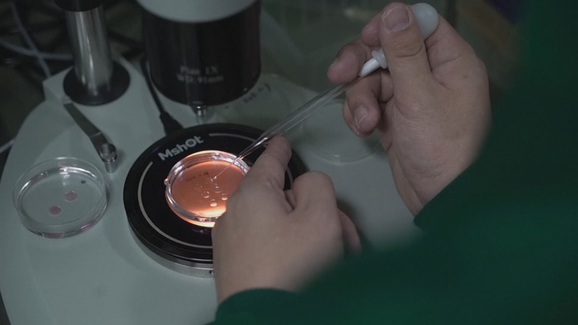 美國學者研發家居檢測新型冠狀病毒方法