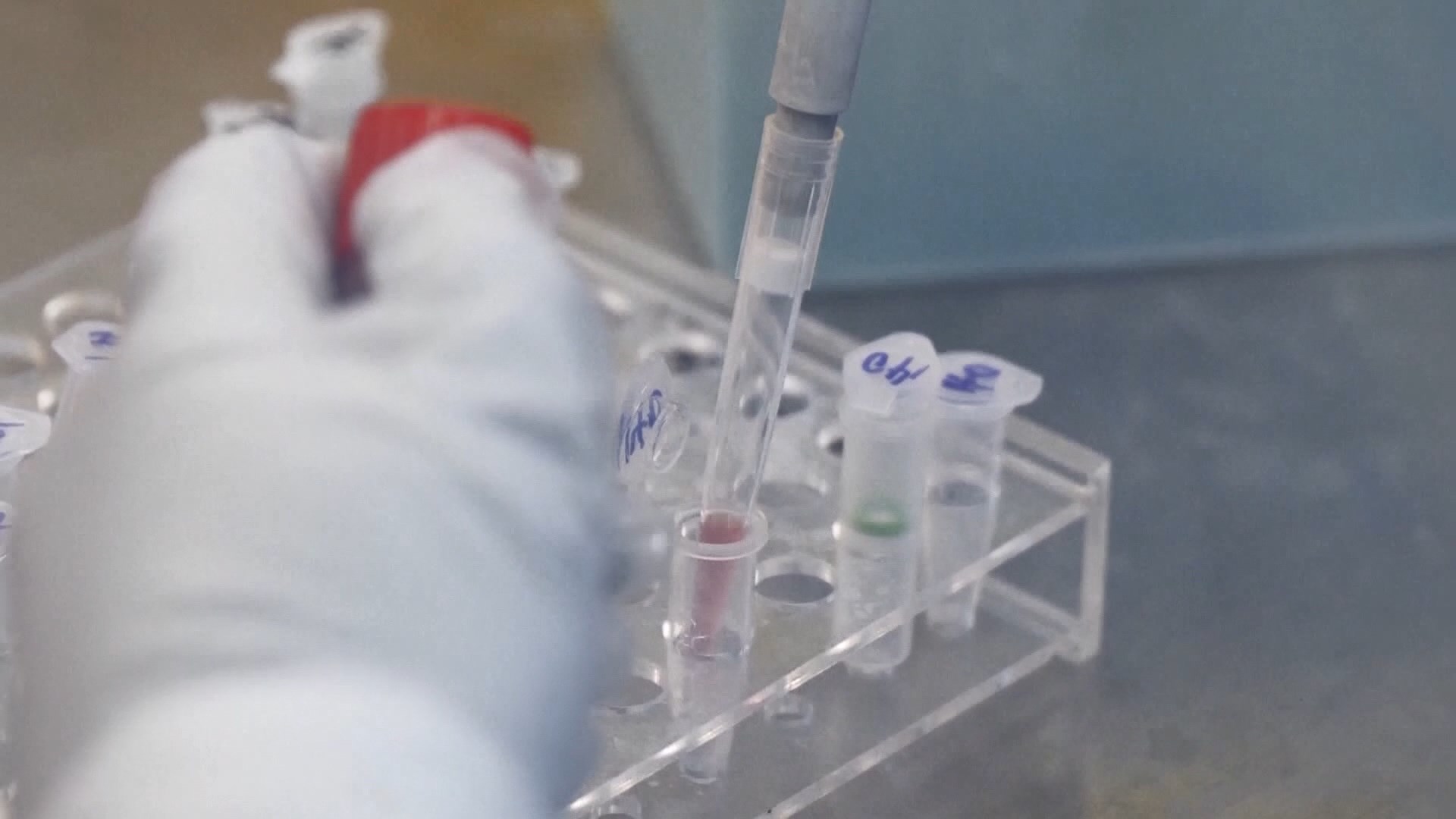 新型冠狀病毒命名為COVID-19