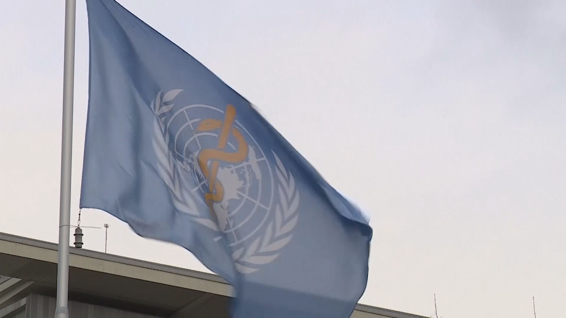 世衛建議十二歲或以上兒童佩戴口罩