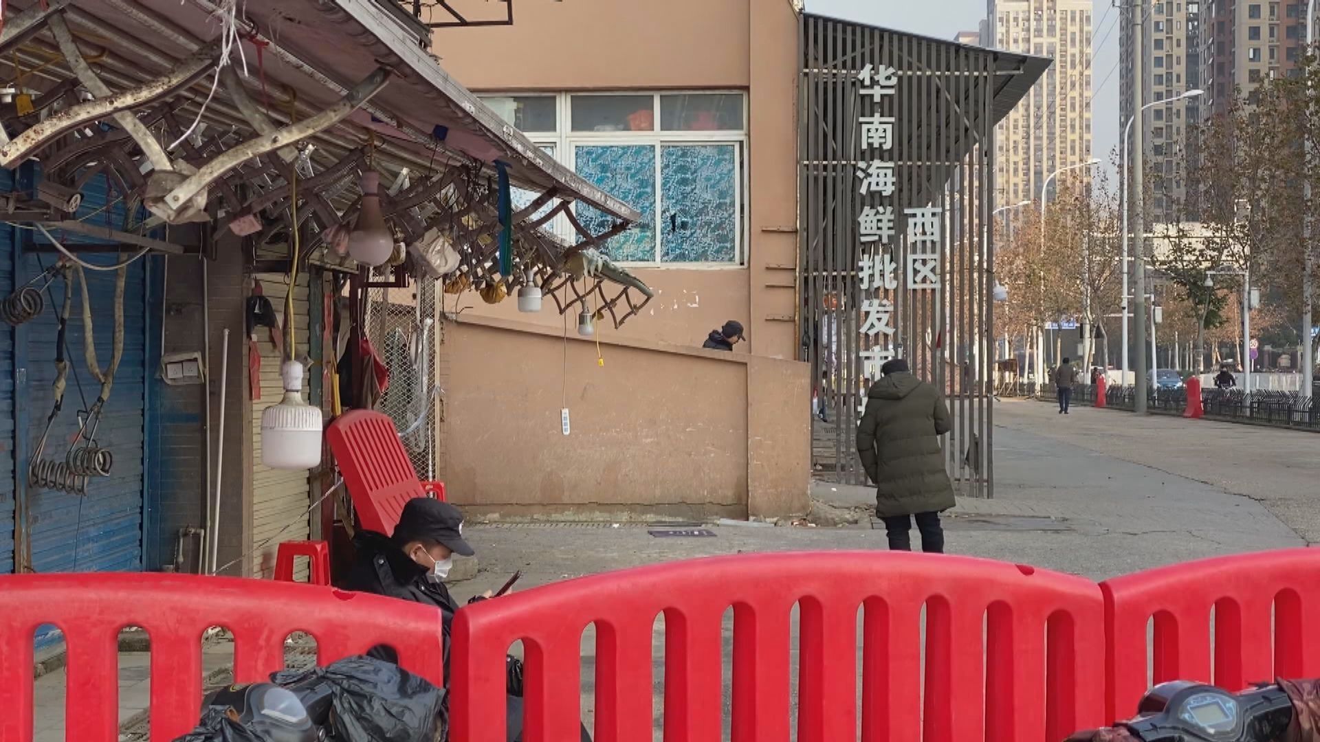 世衛國際專家組將到武漢尋新冠病毒動物源頭