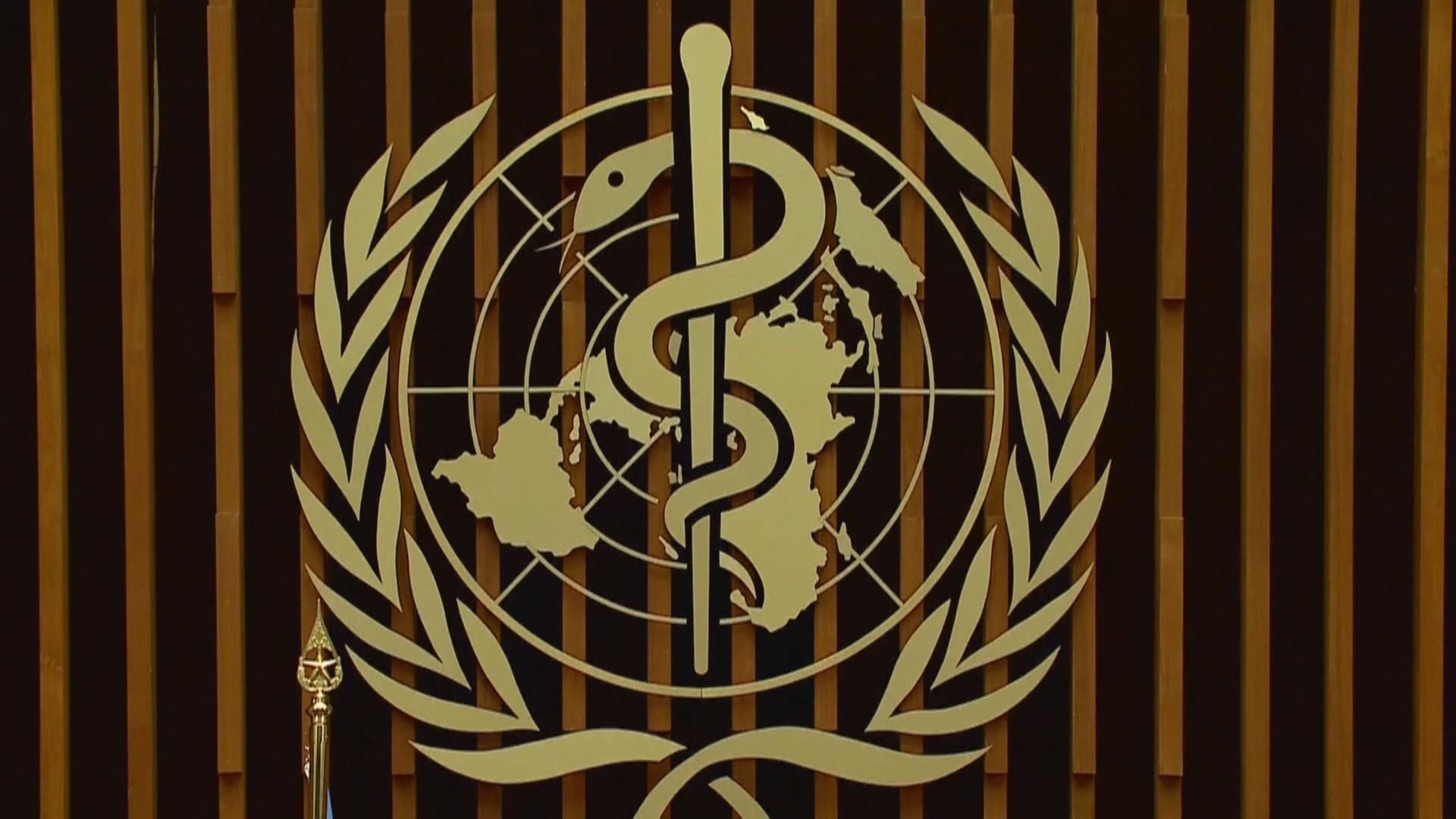 世衛罕有批評中國未批簽證予專家組調查新冠病毒源頭