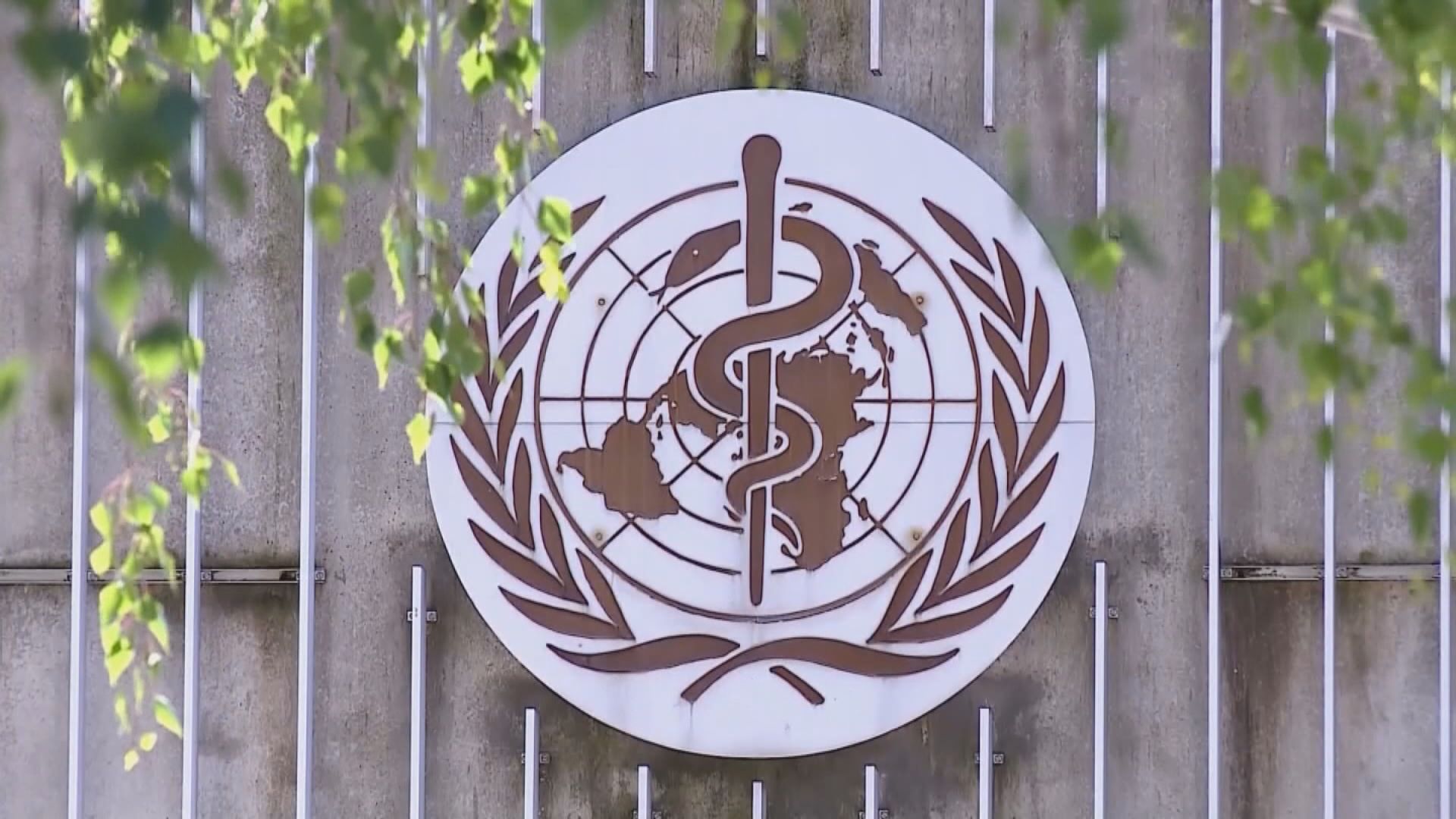 獨立專家小組報告指世衛判斷疫情能力嚴重受限