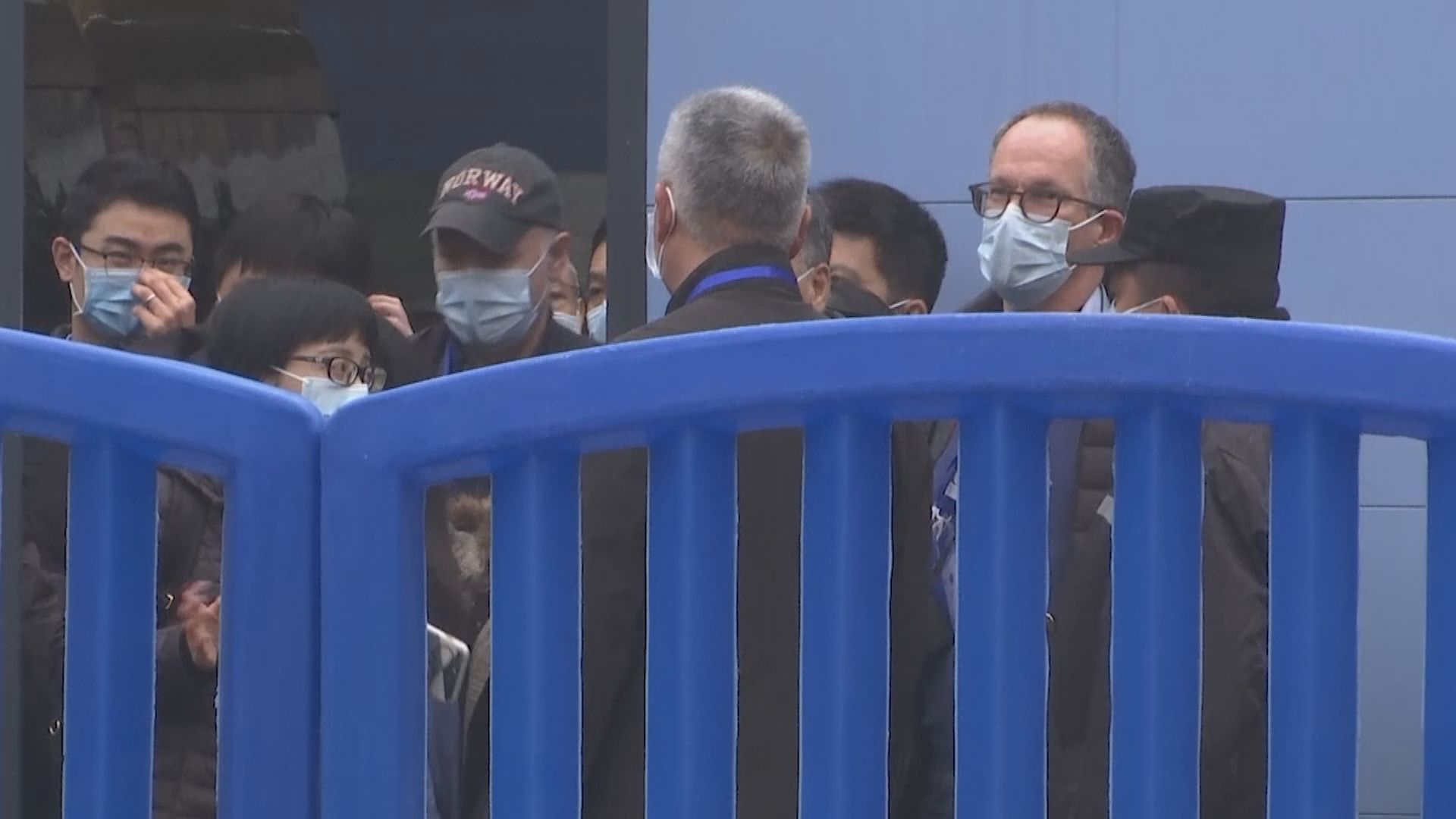 世衛專家據報鎖定華南海鮮市場的鼬獾兔子列為疫情可能源頭