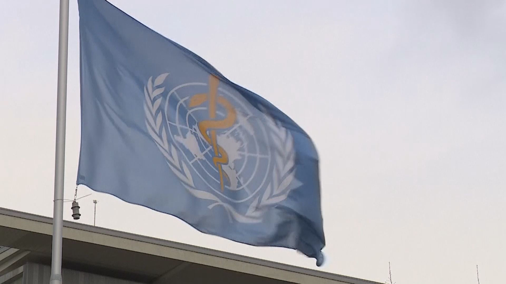 外媒：世衛調查報告草稿指新冠病毒由實驗室洩漏是極不可能