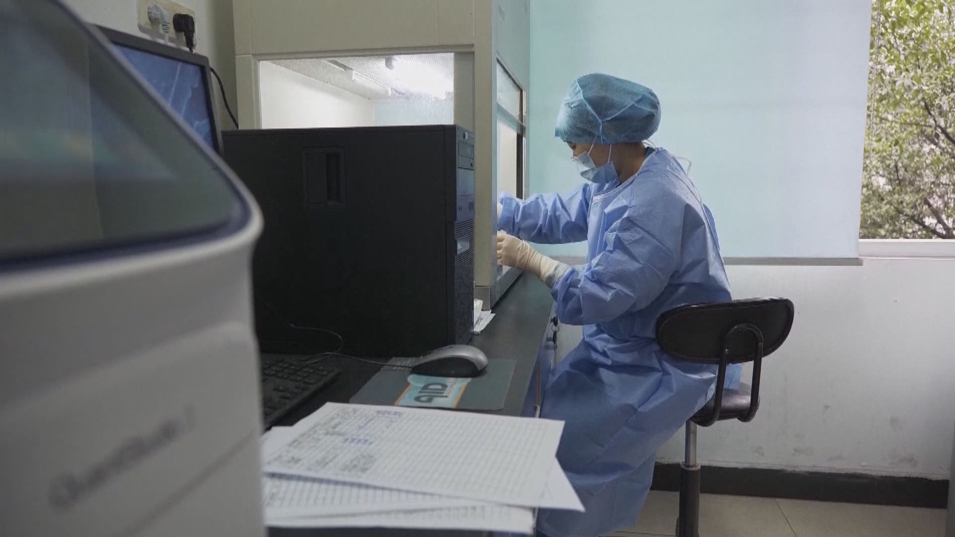 世衛溯源報告：新冠病毒經中間宿主傳人機會最大　極不可能由實驗室洩漏