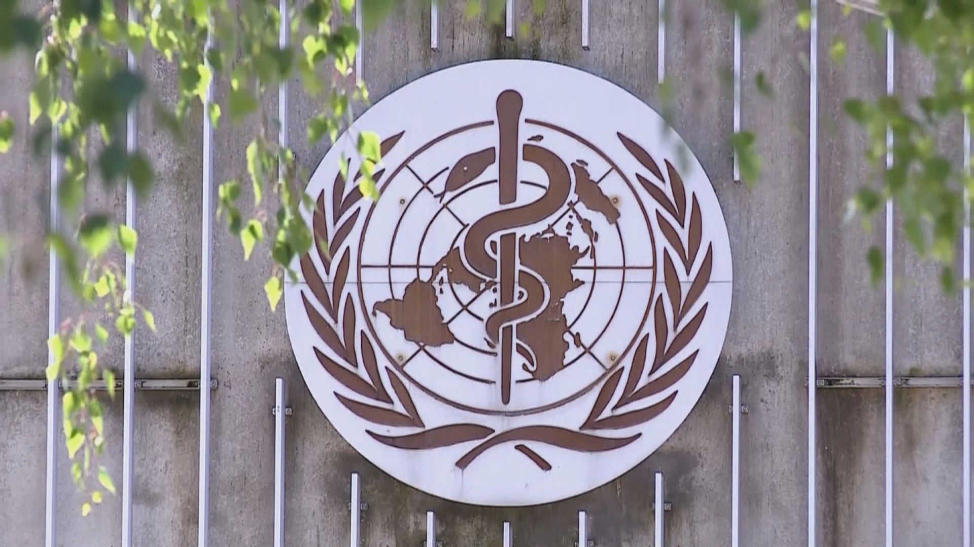 世衛指中方需分享更多疫情數據　中方同意與世衛就技術問題保持溝通