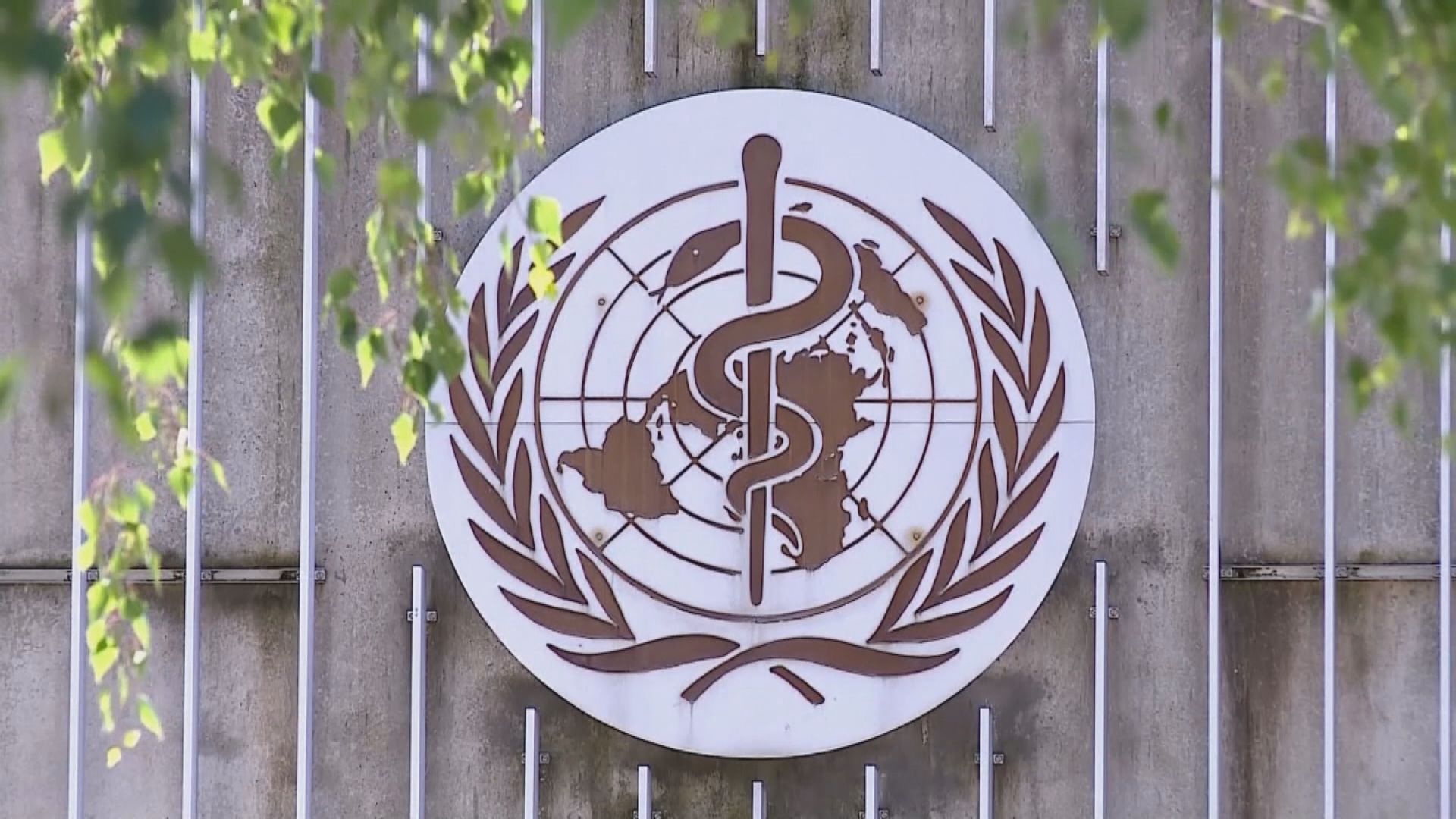 世衛稱近期經大連港向北韓送治療新冠病毒藥物