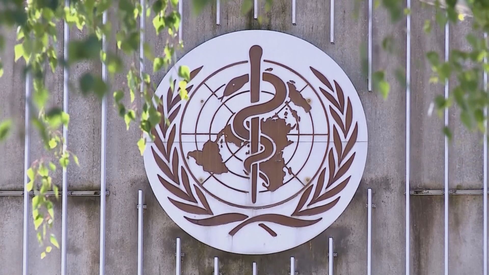 世衛與中國官員開會討論中國疫情