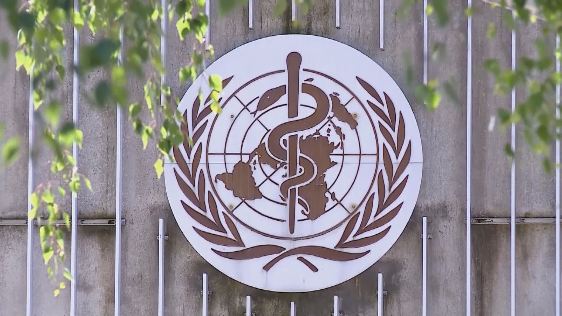 世衛指最快本周派專家團隊到中國調查疫情