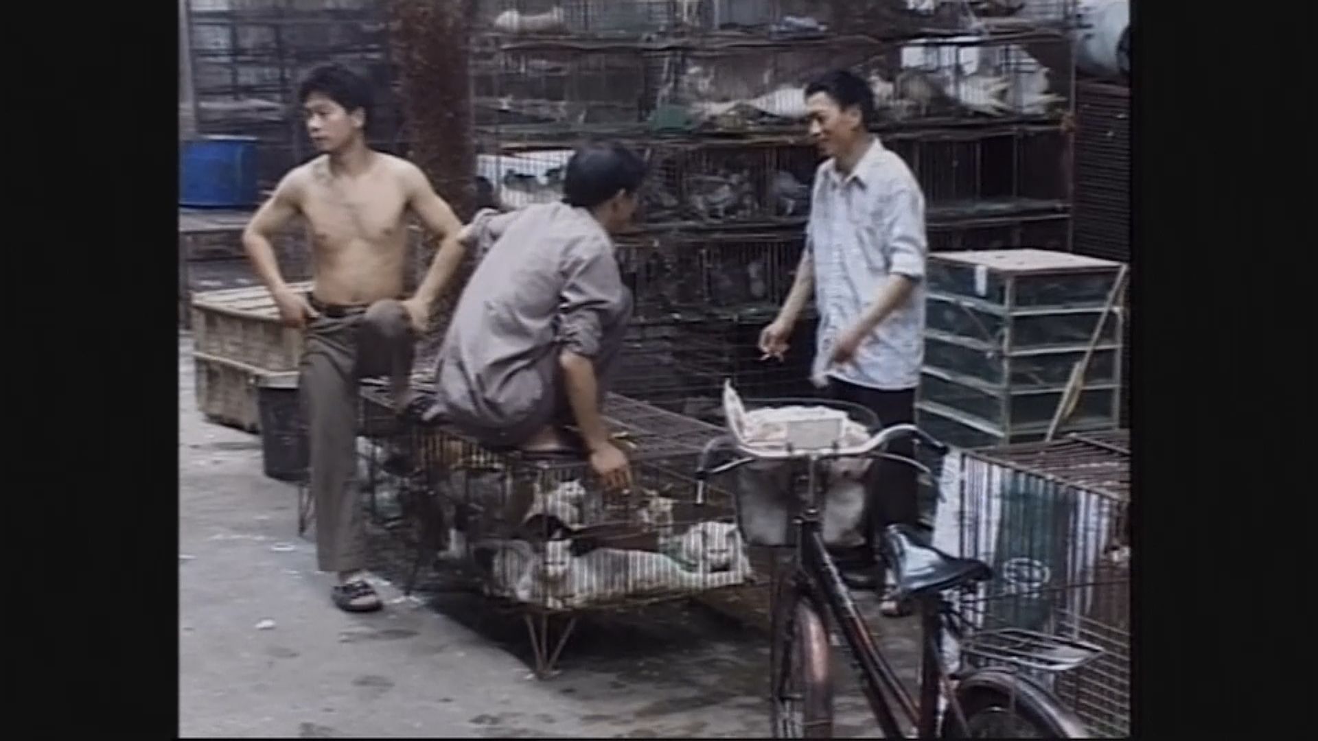 袁國勇：病毒源於美無實證　野味劣質文化才是病毒之源