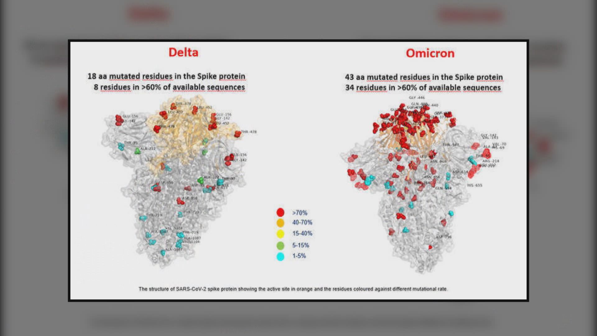 袁國勇：成功分離Omicron變種病毒株將助研其傳染性及毒性