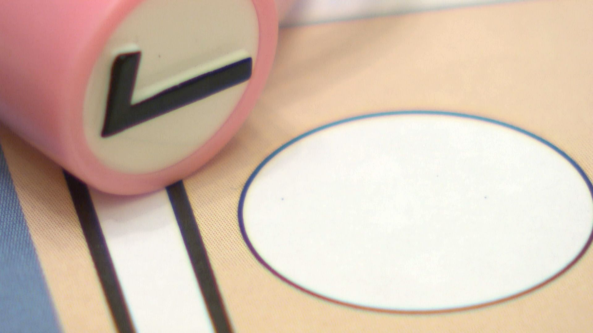 中國聯通國際呈獻：立法會選舉．齊投票｜投票方法