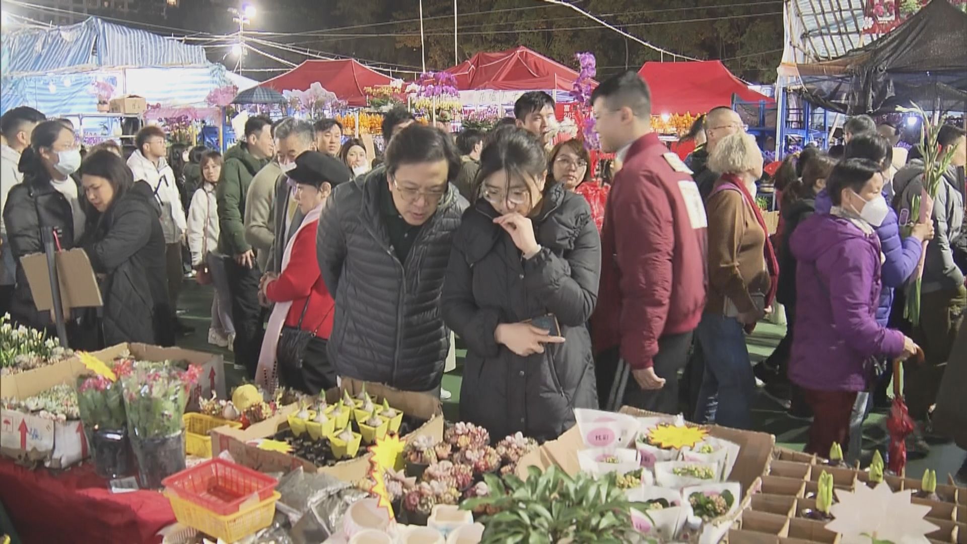 維園花市越夜越熱鬧 市民稱珍惜逛年宵機會