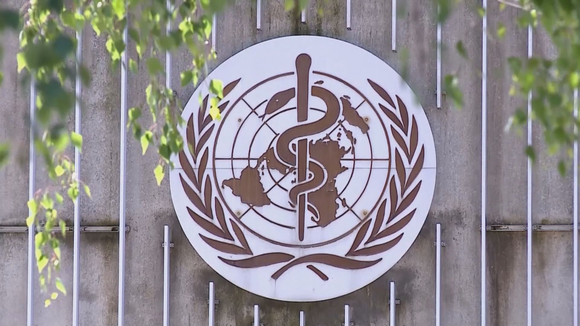 世衛憂猴痘或夏天期間於歐洲進一步傳播