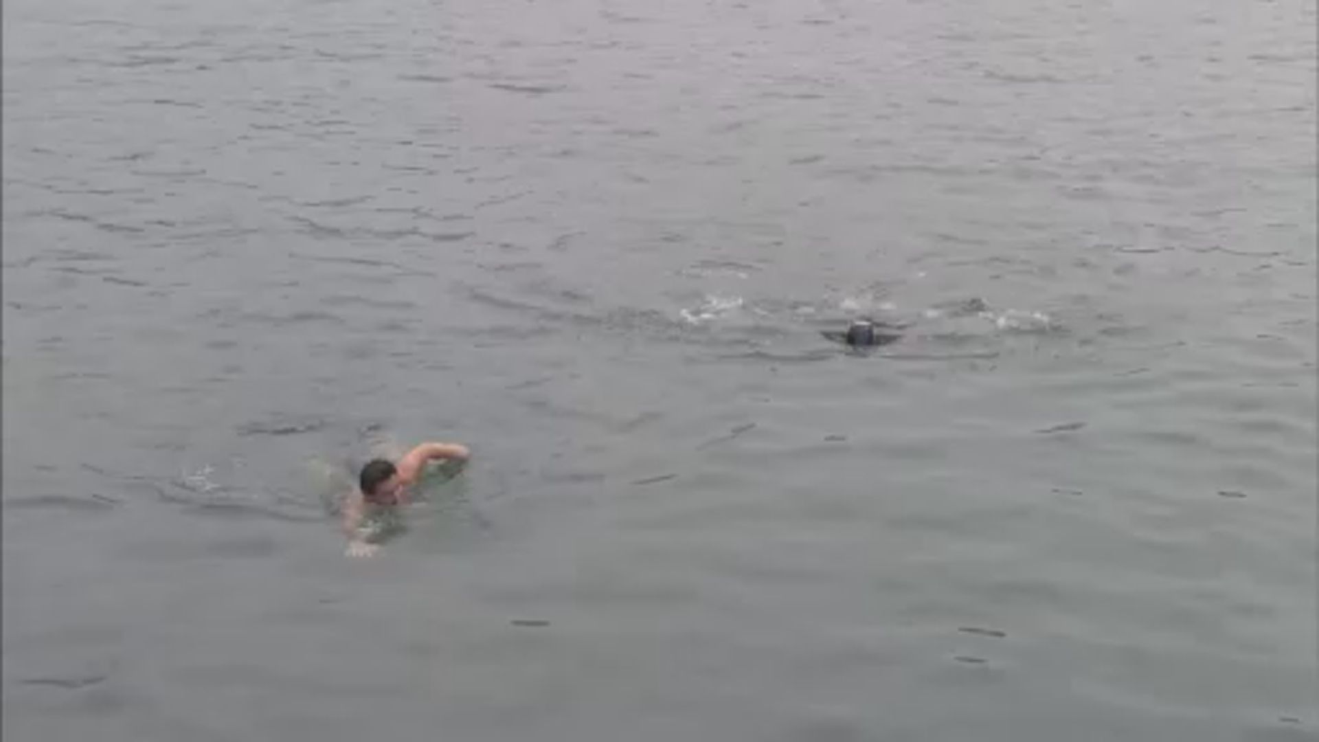 市區最低氣溫僅8.6度 市民無懼嚴寒游早水