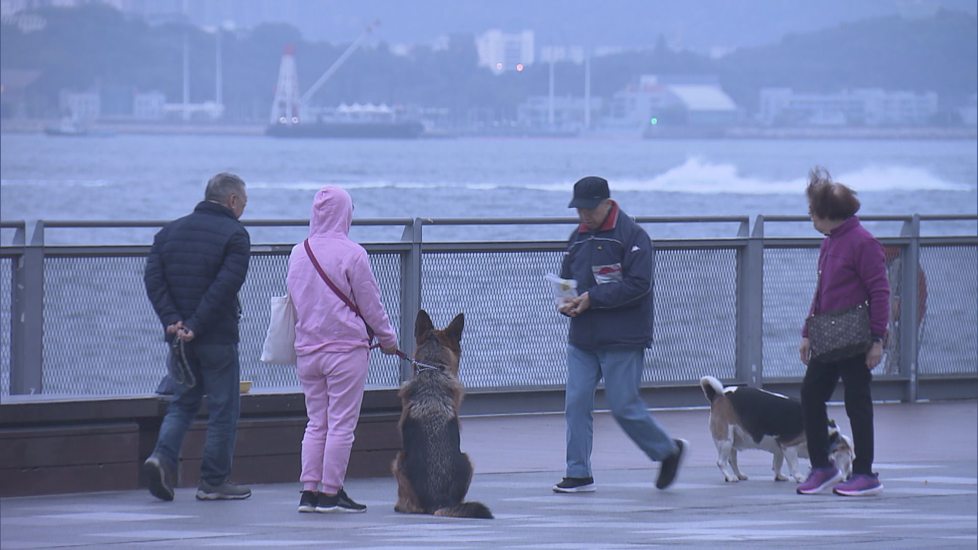 天文台料周末氣溫降至9度　或破入冬最低紀錄