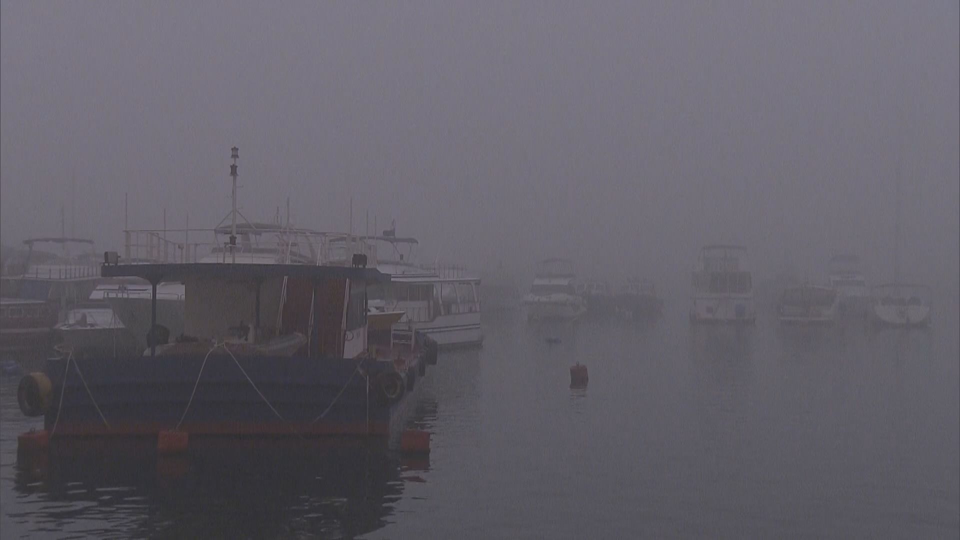 大霧天氣致港內能見度降至約100米