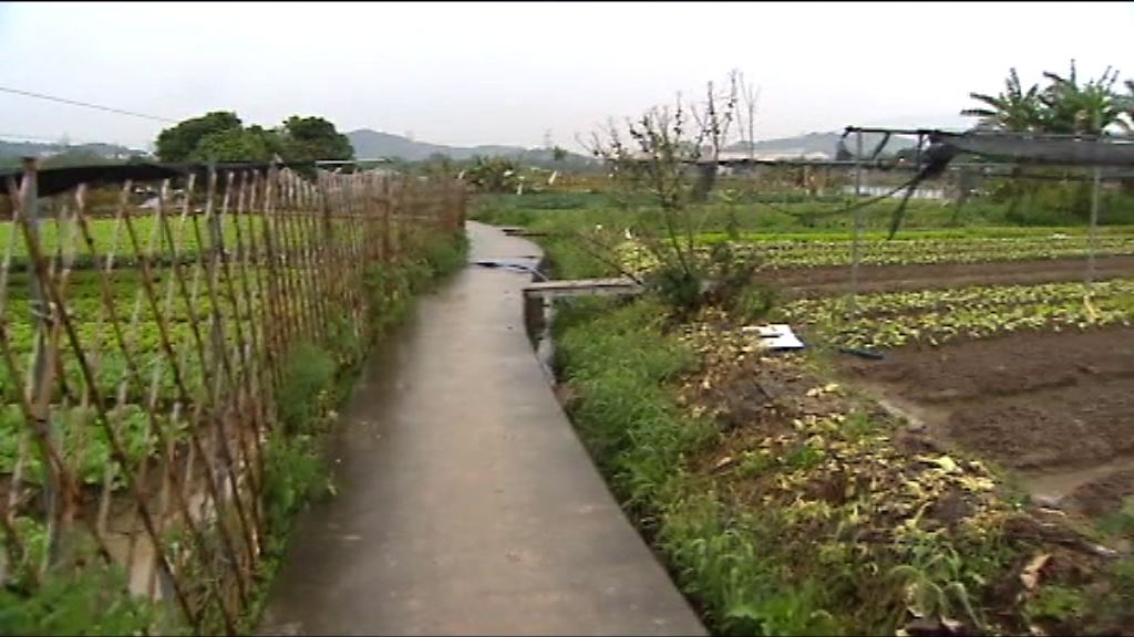 高地跌破零度出現凍雨結冰