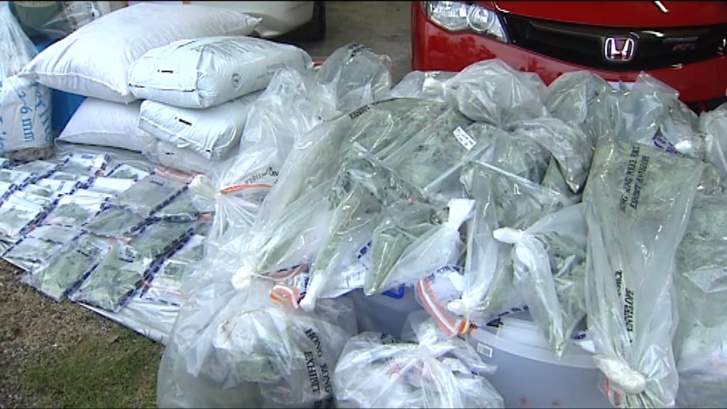 警方搗破大麻種植集團拘４人