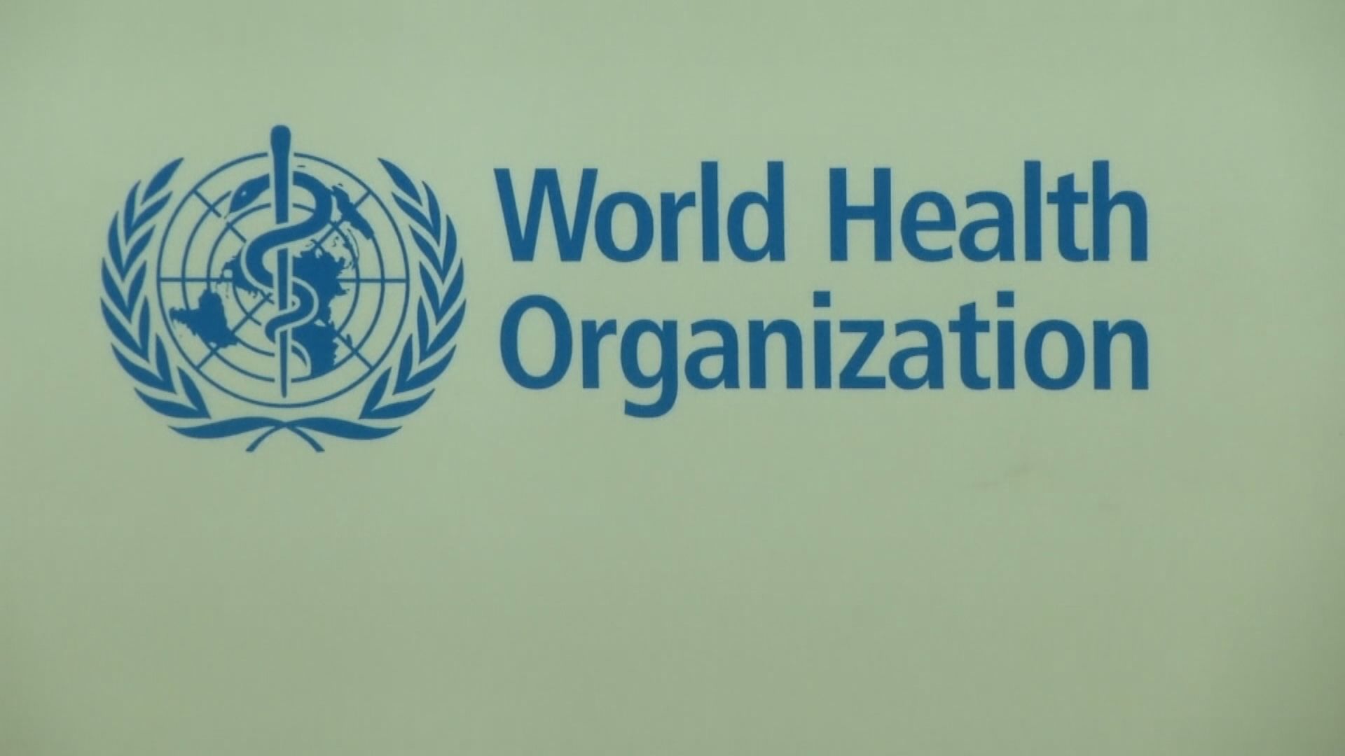 世衛滿意中國至今就武漢新型冠狀病毒調查工作