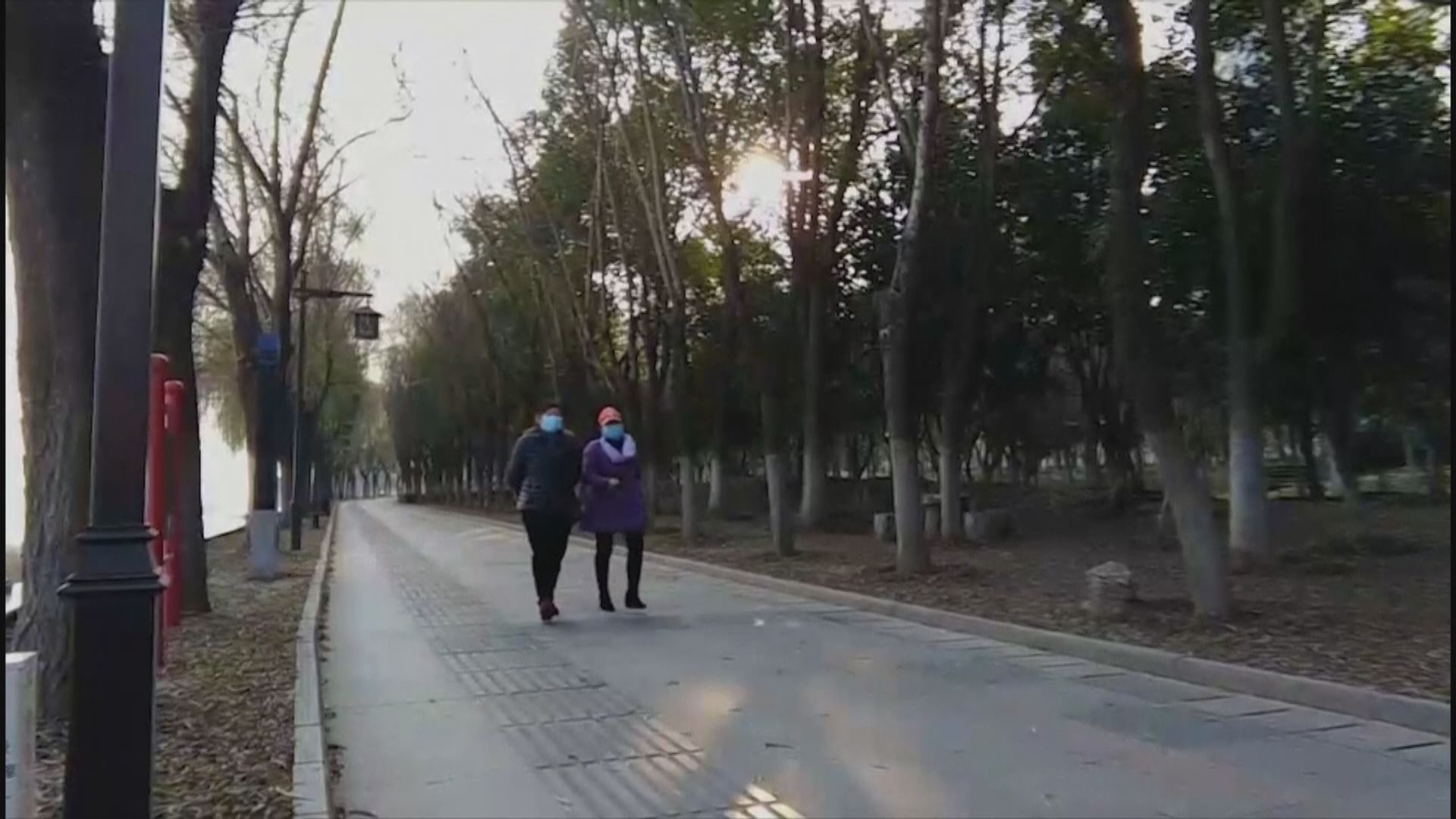 鄧家彪：目前約450名滯留武漢港人獲安排上機