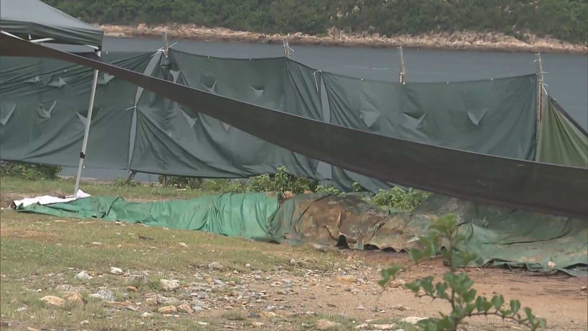 西貢近日發現鯨屍 環諮會理解修例需時 冀推短期方案