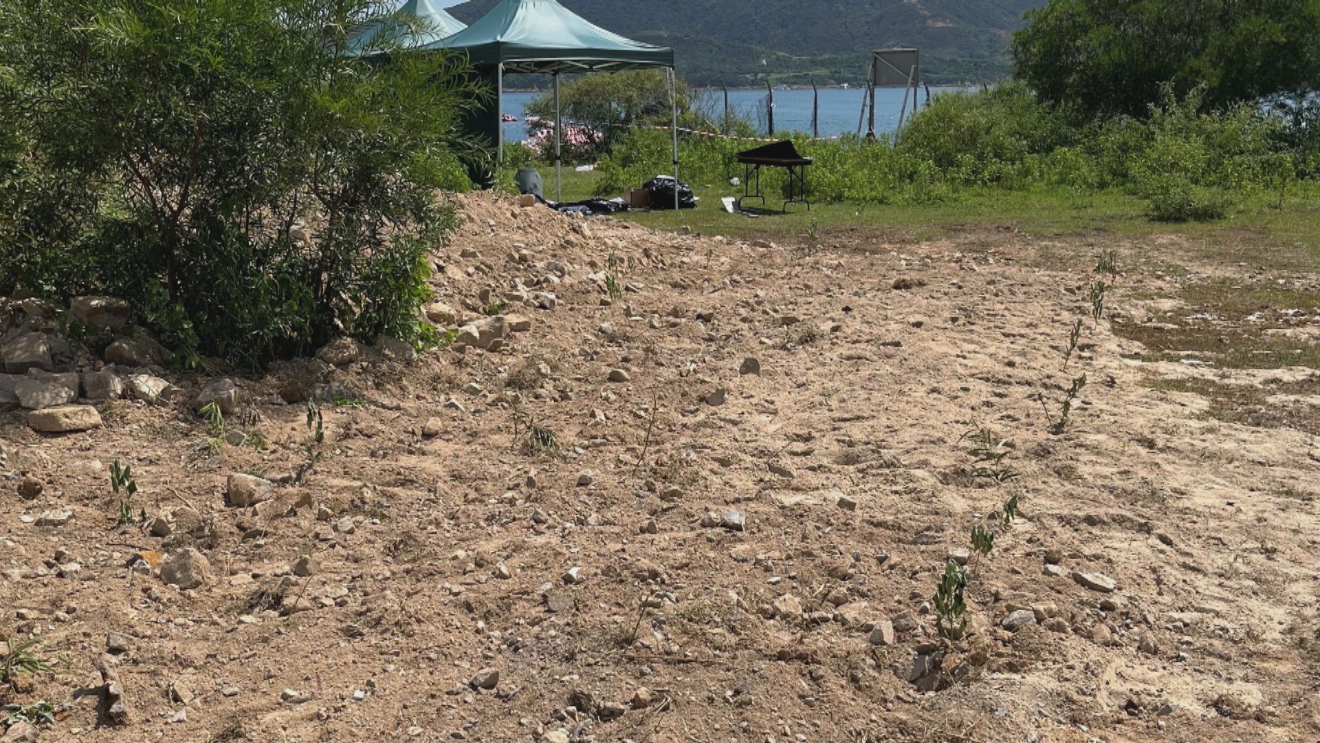 漁護署：已掩埋鯨魚屍體 籲市民勿前往