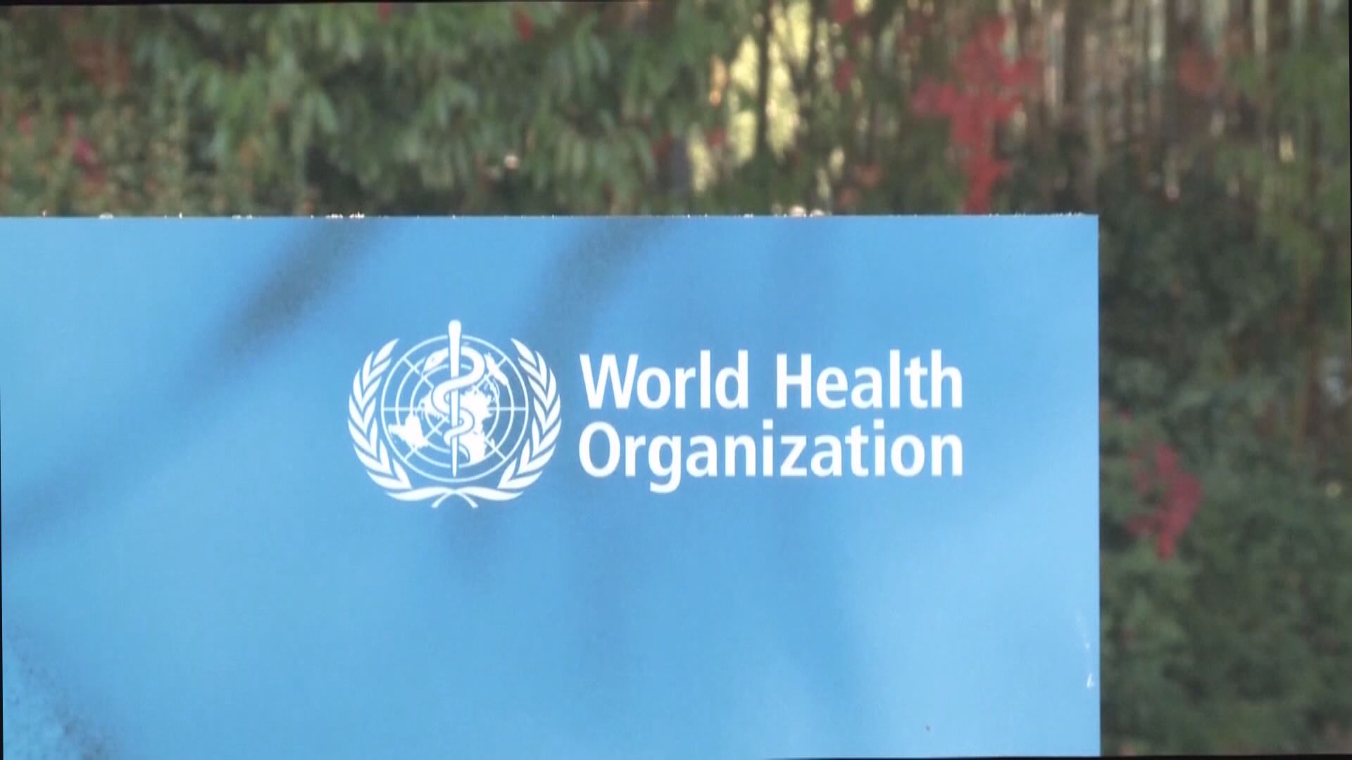 中國辦表彰大會　世衛指疫情未止不能自滿