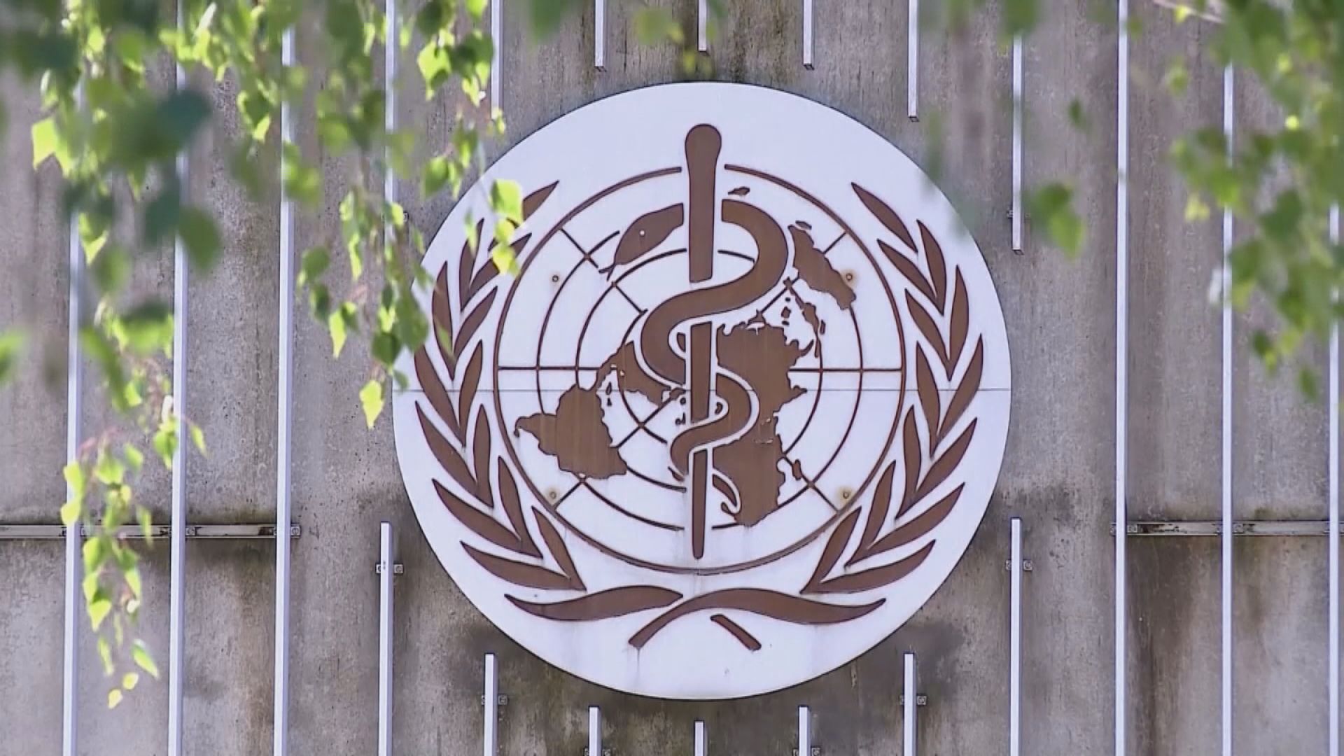 據報世衛擬派第二批專家組到中國調查新冠源頭