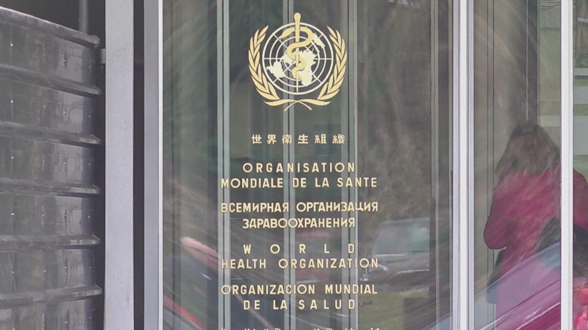 世衛：新型流感變種激增　接種疫苗仍是最佳方案