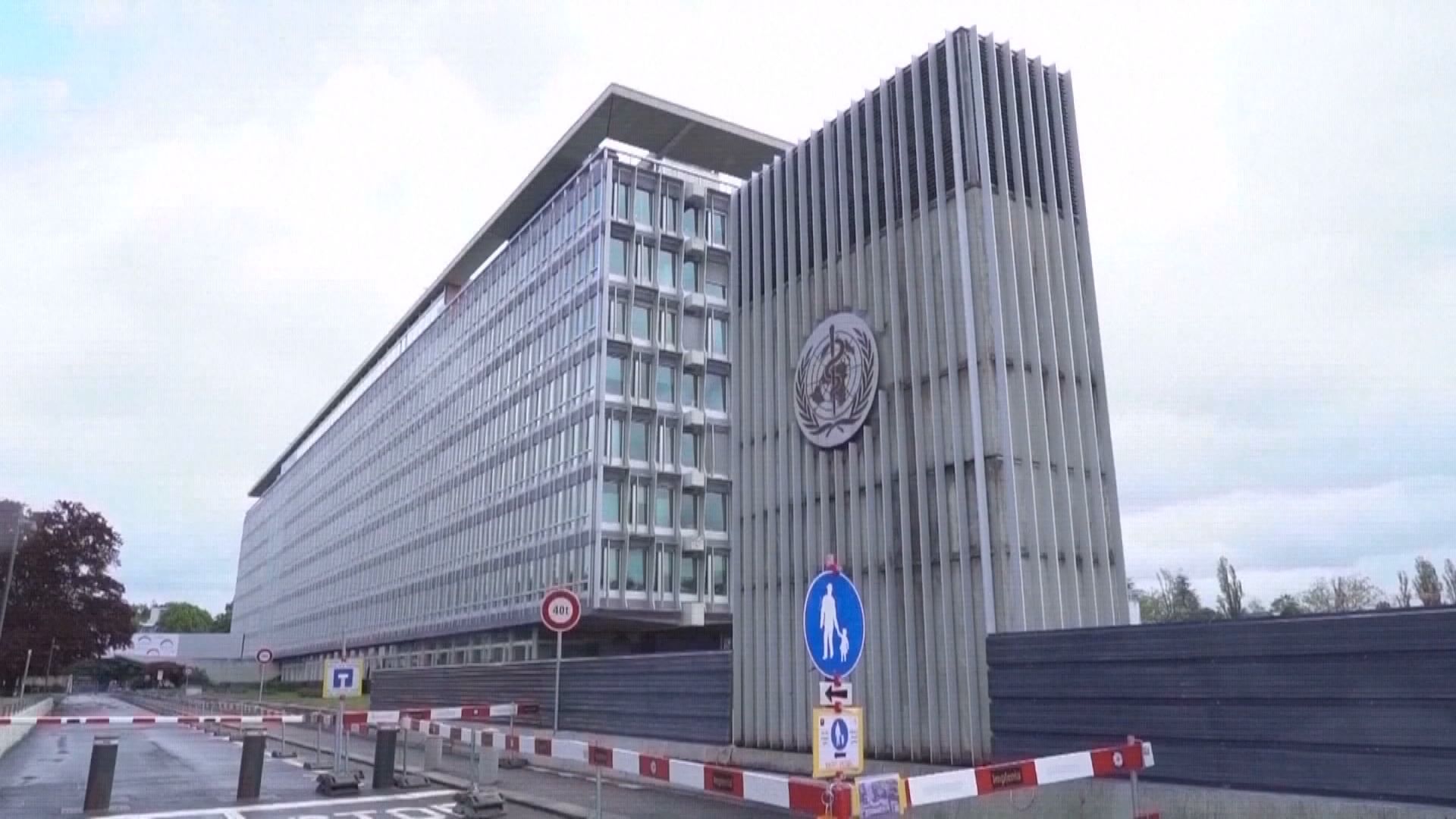 世衛發布首份真菌清單　指有關真菌對人類健康構成重大威脅