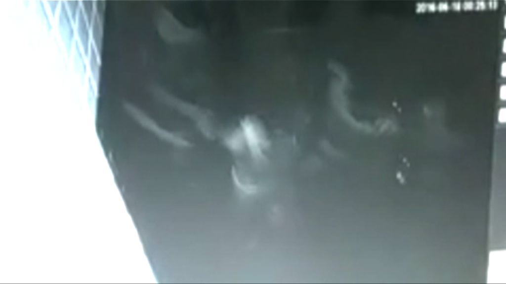 廣東當局禁律師接手林祖戀案