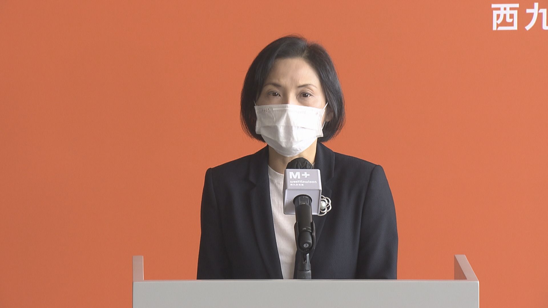 馮程淑儀 : 不干涉策展工作　惟展覽絕對要守法