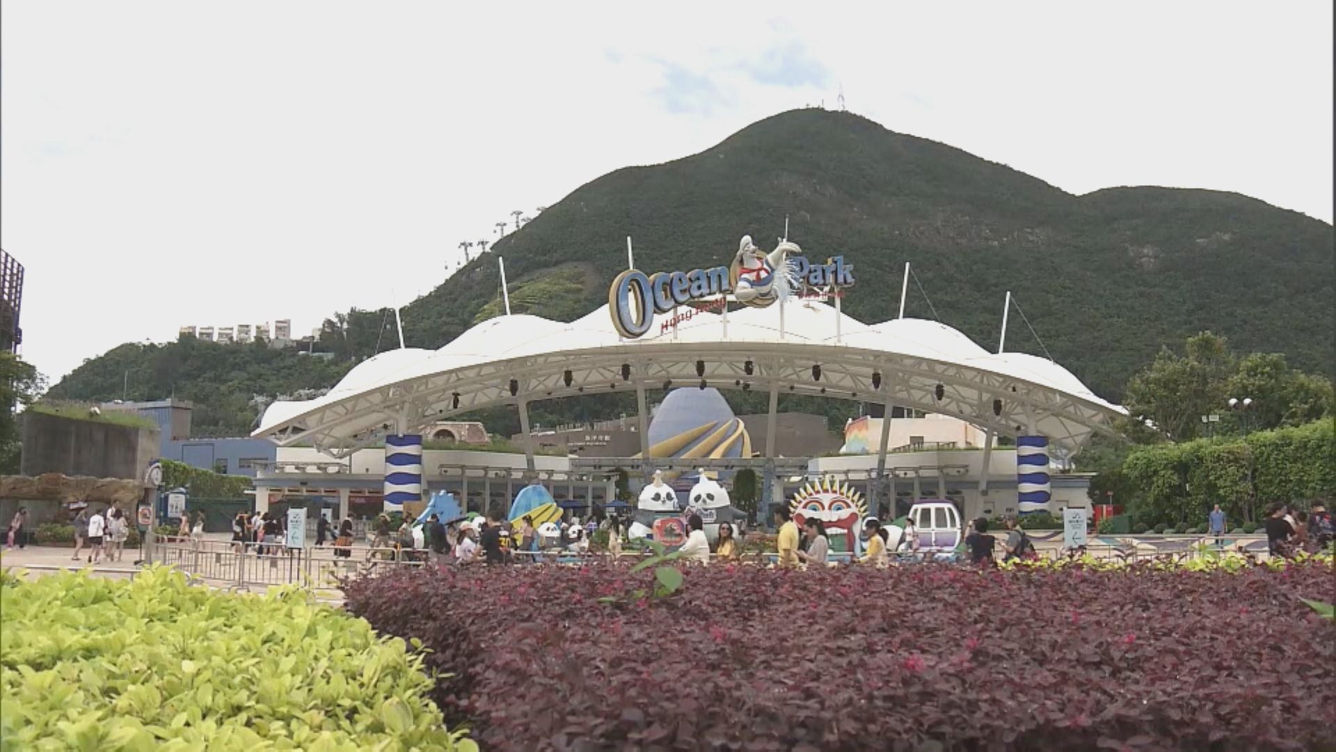 海洋公園男技工疑檢查機動遊戲受傷送院亡