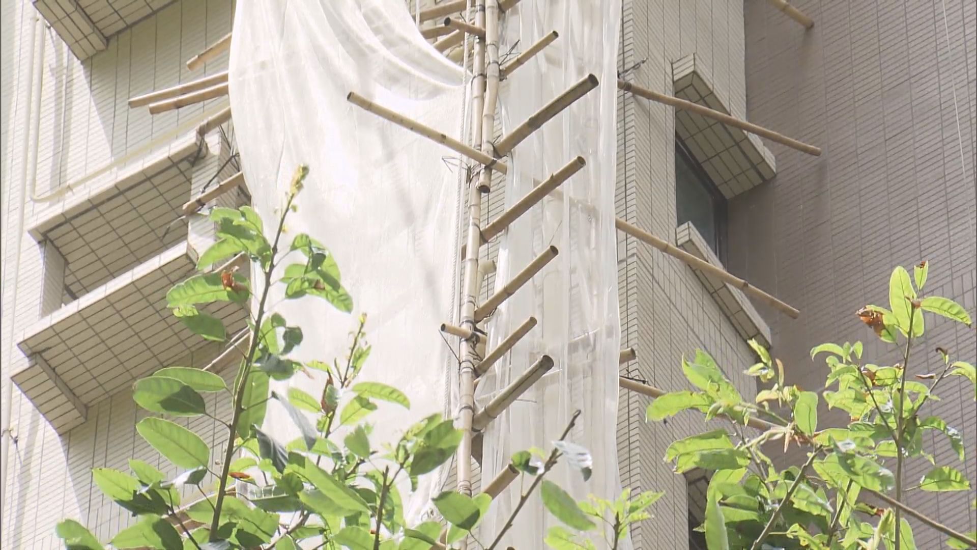 干德道有工人遭蜜鋒針傷送院