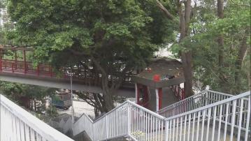 黃大仙六旬工人清理樹葉時暈倒送院亡　路政署表示難過