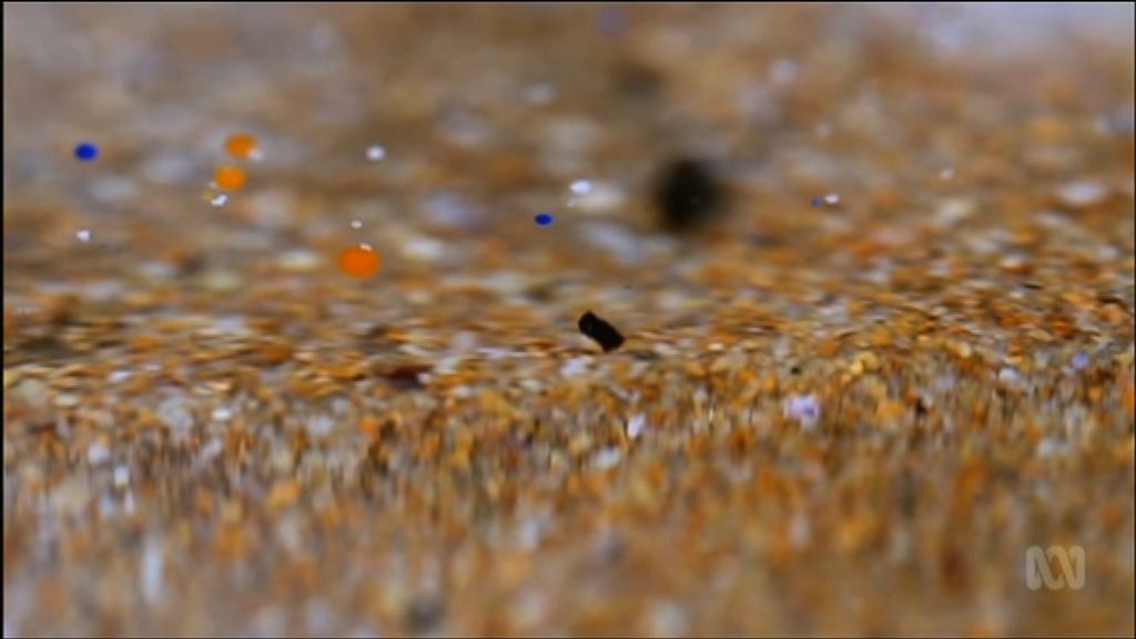 研究發現全球食水受塑膠微粒污染