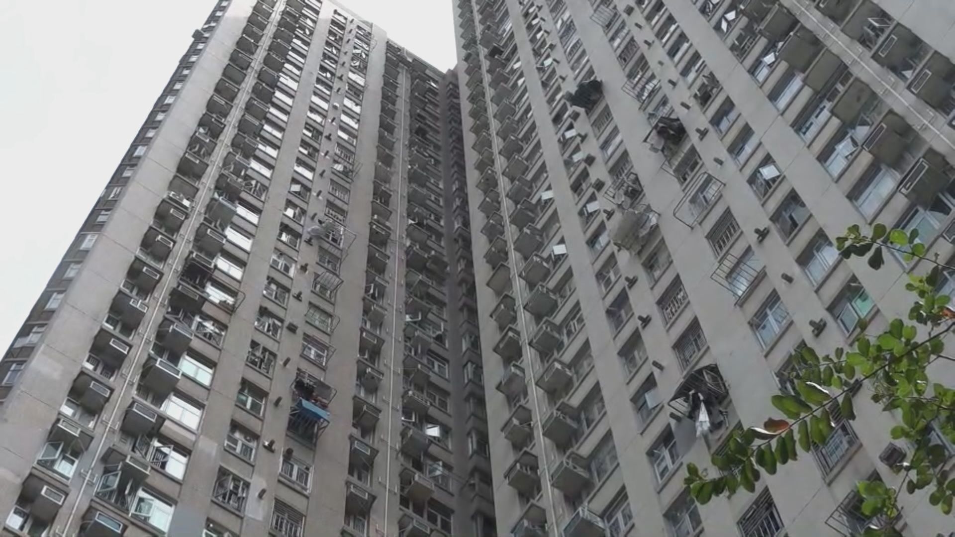 據悉龍蟠苑受刀傷兩兄弟有自閉及智障 犯案母患抑鬱 