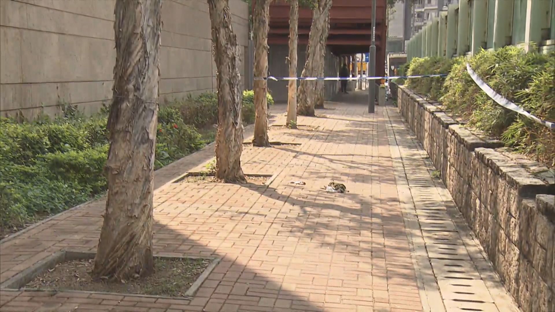 元朗男子斬傷妻子後墮樓　昏迷送院