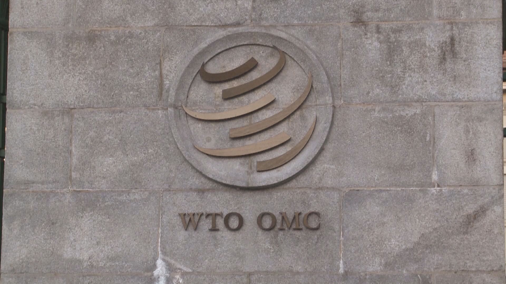 世貿組織：供應鏈中斷問題開始顯現緩和跡象