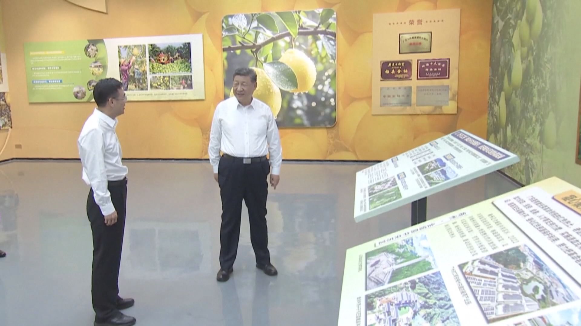 習近平到廣東梅州市考察調研