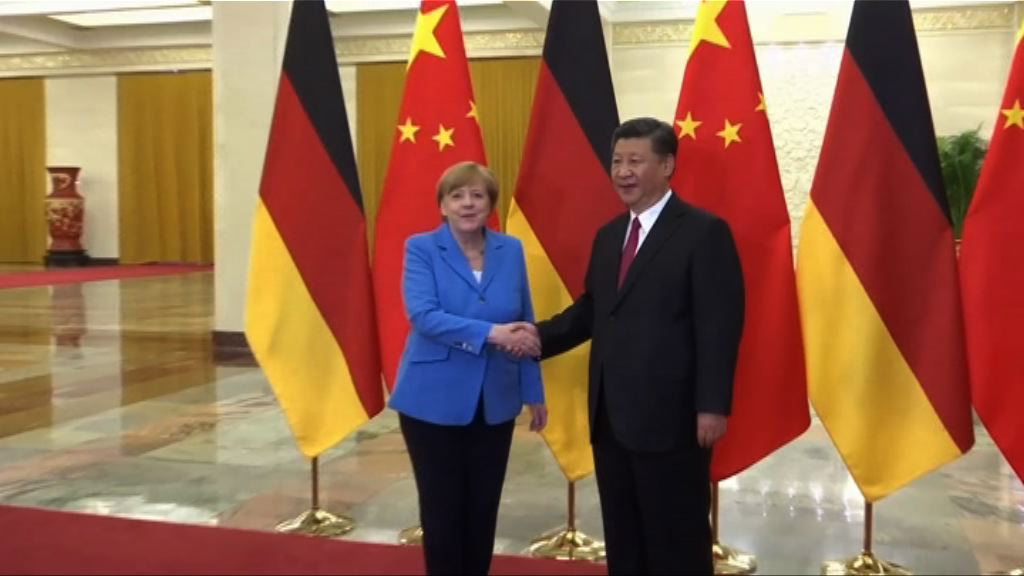 習近平跟默克爾舉行會談