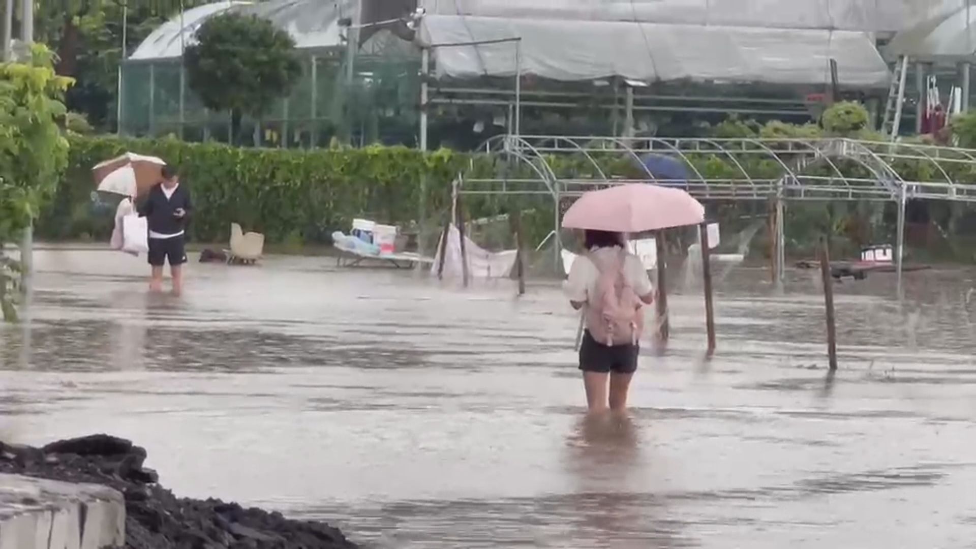 天氣｜黃色暴雨警告信號生效　坪輋出現水浸