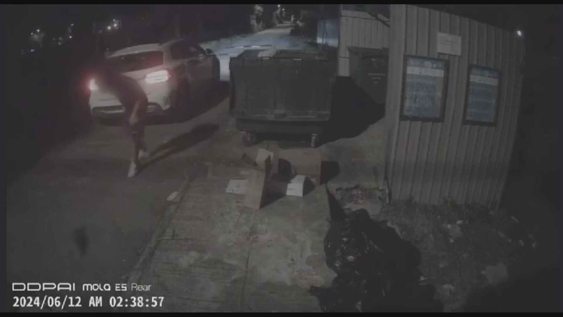 元朗有貓隻懷疑被輾斃 涉事司機向警方自首