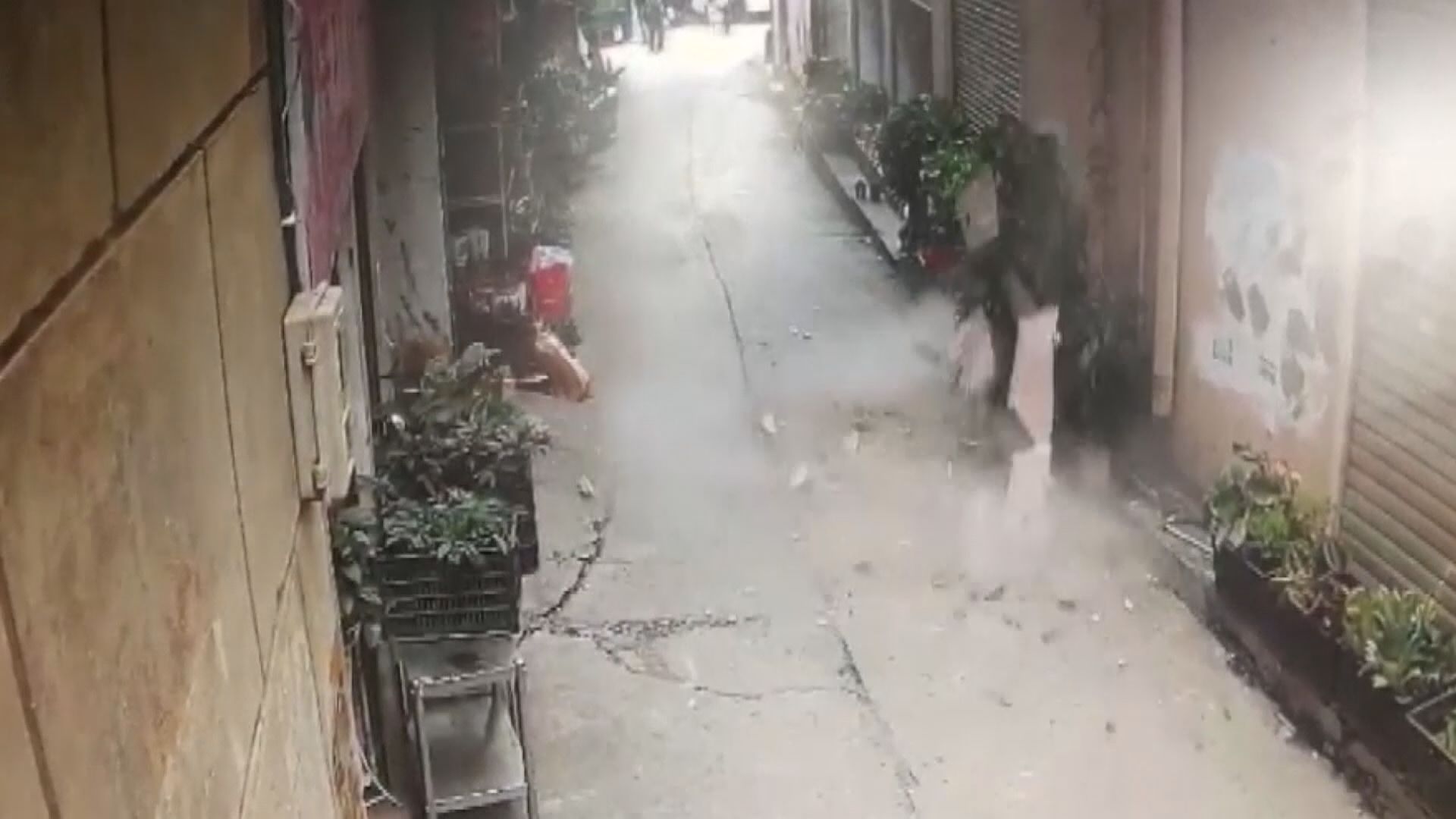 雲南墨江5.9級地震多人傷