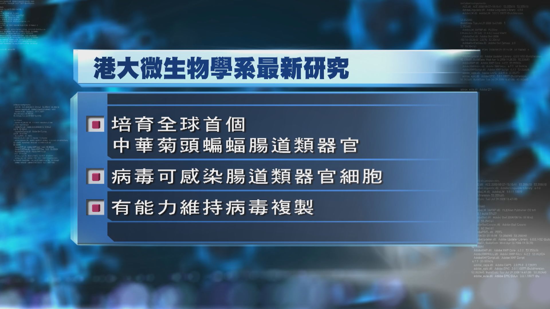 港大研究顯示新冠病毒能感染蝙蝠和人類腸道細胞
