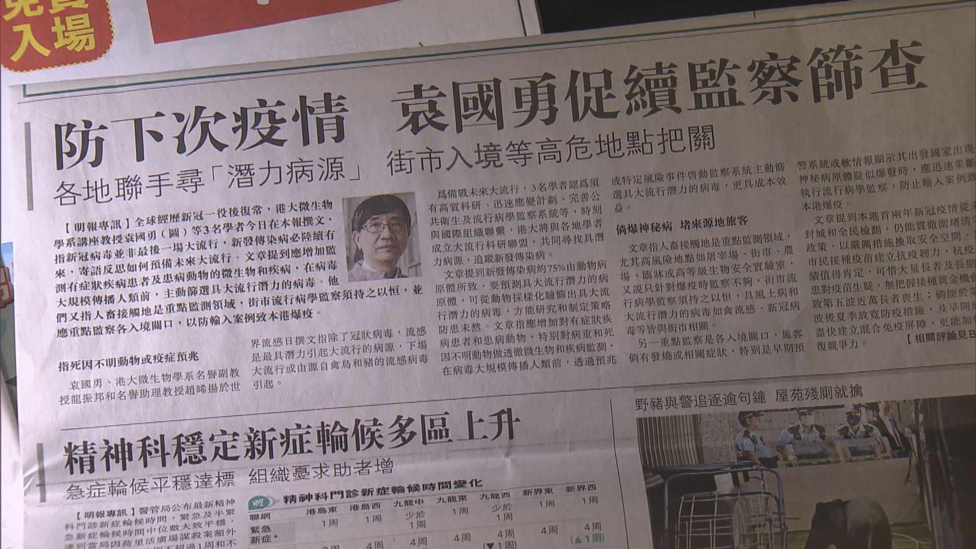 袁國勇等學者料下一場大流行由禽鳥和豬流感病毒引起