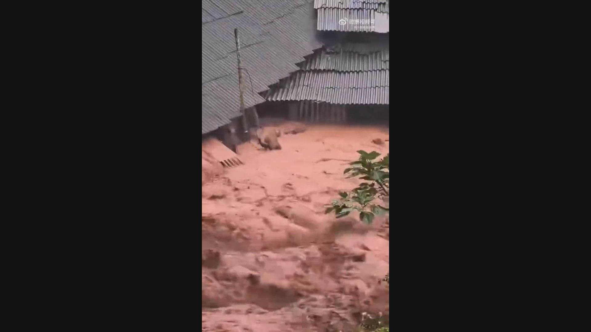 雲南磨憨暴雨成災　逾兩千名居民須緊急撤離